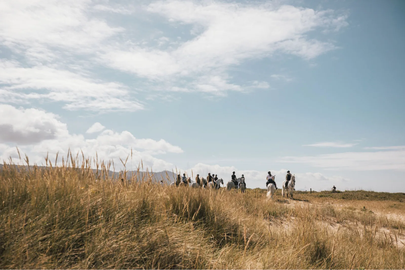 Viana do Castelo Horseback Riding Tour — Beach, Mountain & Flower Fields – image 3