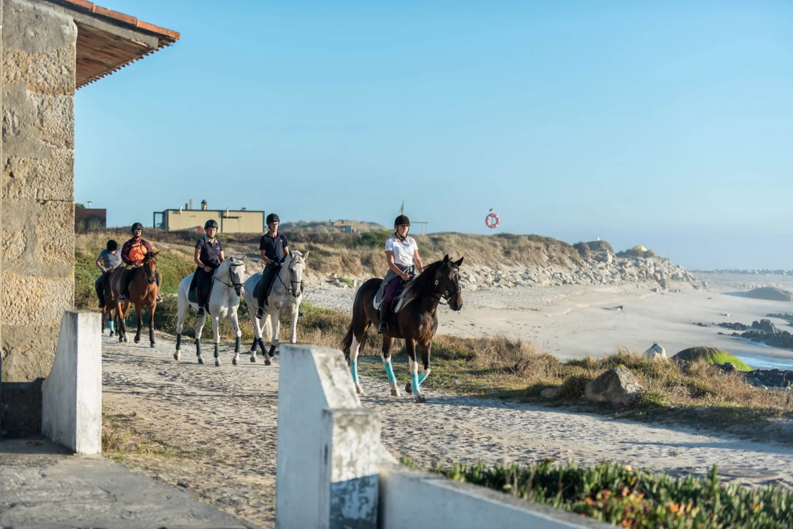 Viana do Castelo Horseback Riding Tour — Beach, Mountain & Flower Fields – image 4