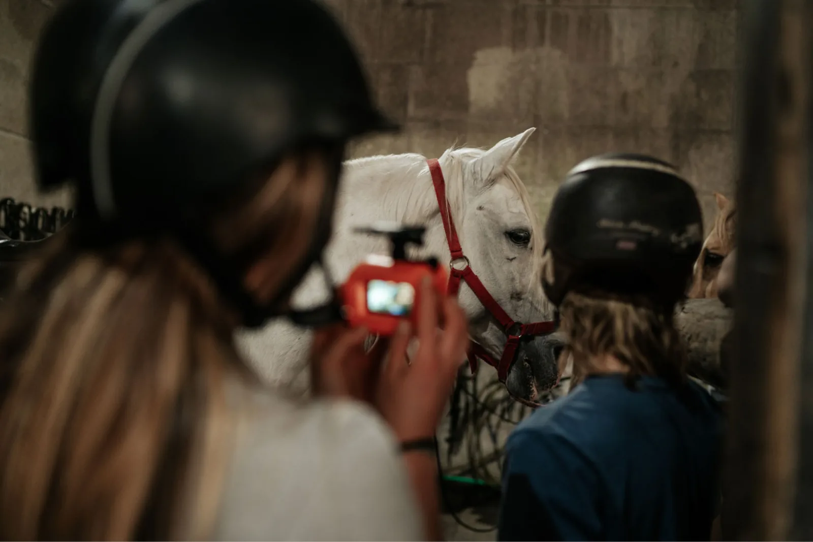 Viana do Castelo Horseback Riding Tour — Beach, Mountain & Flower Fields – image 6
