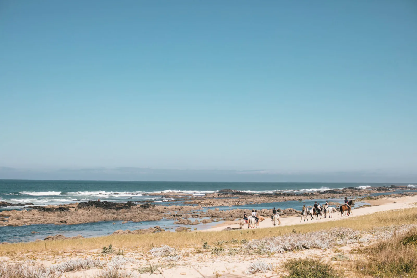 Viana do Castelo Horseback Riding Tour — Beach, Mountain & Flower Fields – image 7