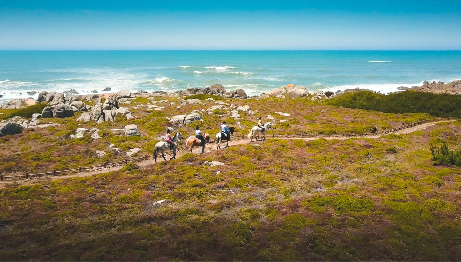 Viana do Castelo Horseback Riding Tour — Beach, Mountain & Flower Fields – image 9