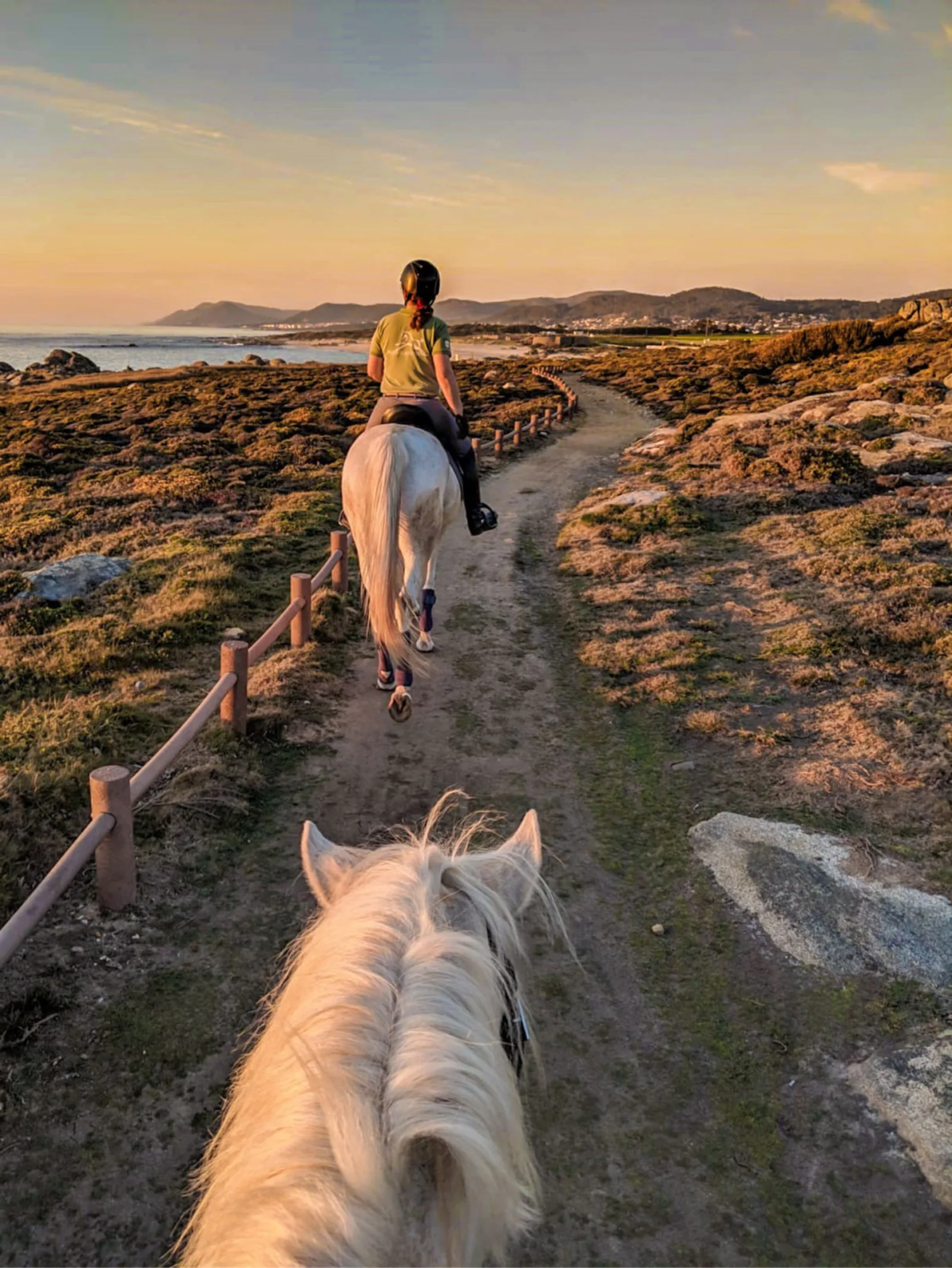Viana do Castelo Horseback Riding Tour — Beach, Mountain & Flower Fields – image 10
