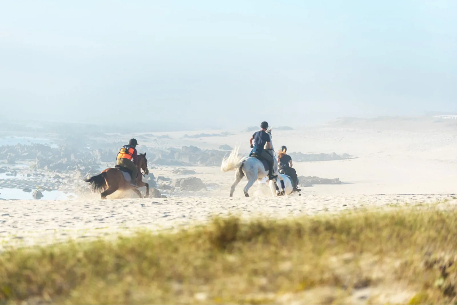 Viana do Castelo Horseback Riding Tour — Beach, Mountain & Flower Fields – image 11