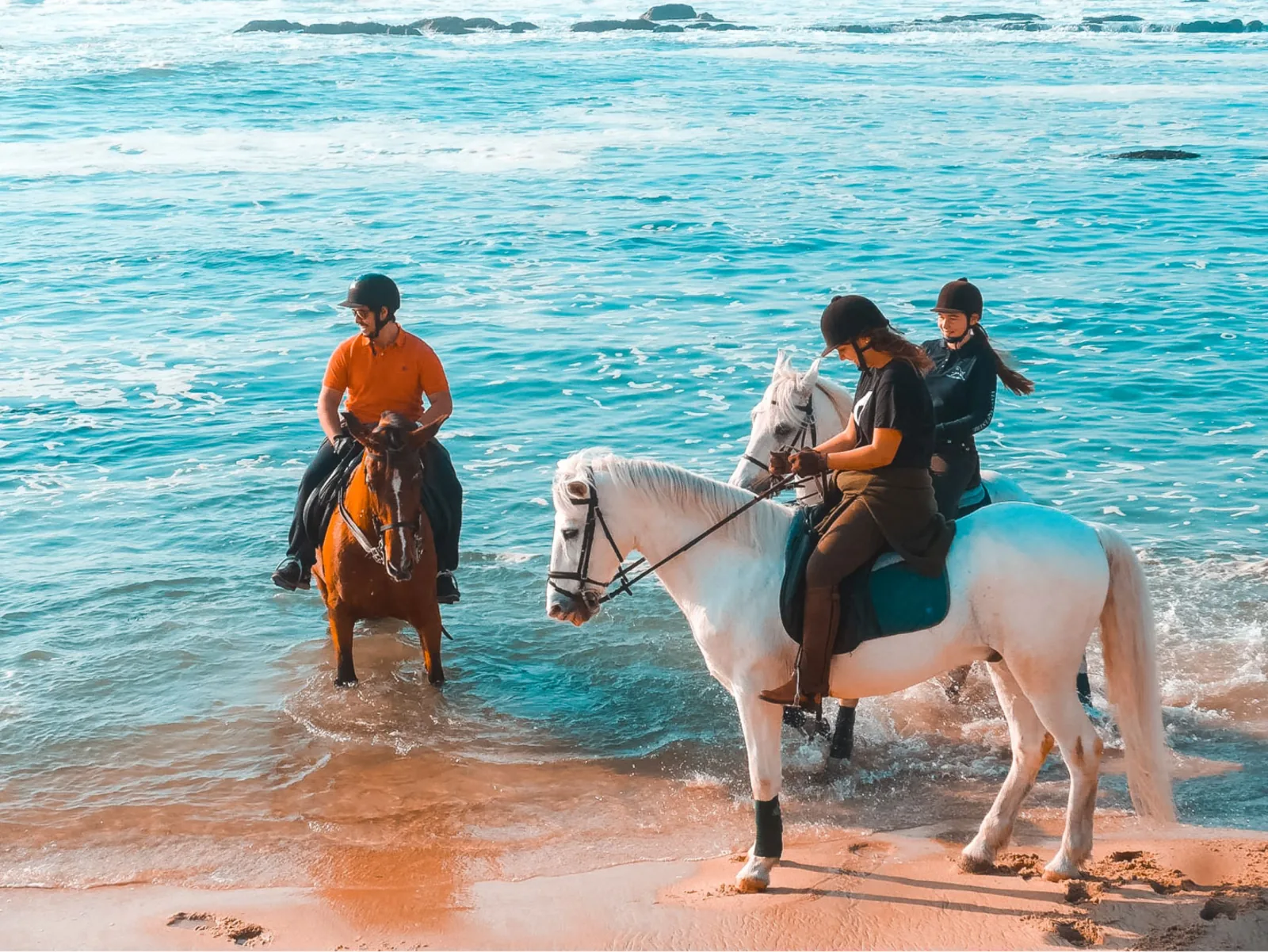 Viana do Castelo Horseback Riding Tour — Beach, Mountain & Flower Fields – image 12