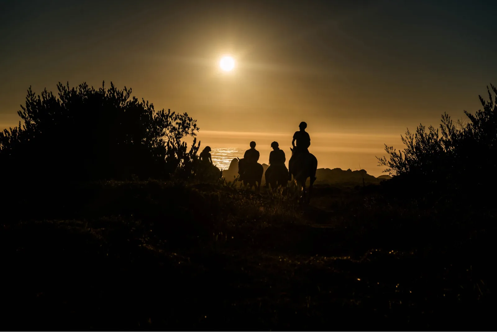 Viana do Castelo Horseback Riding Tour — Beach, Mountain & Flower Fields – image 16