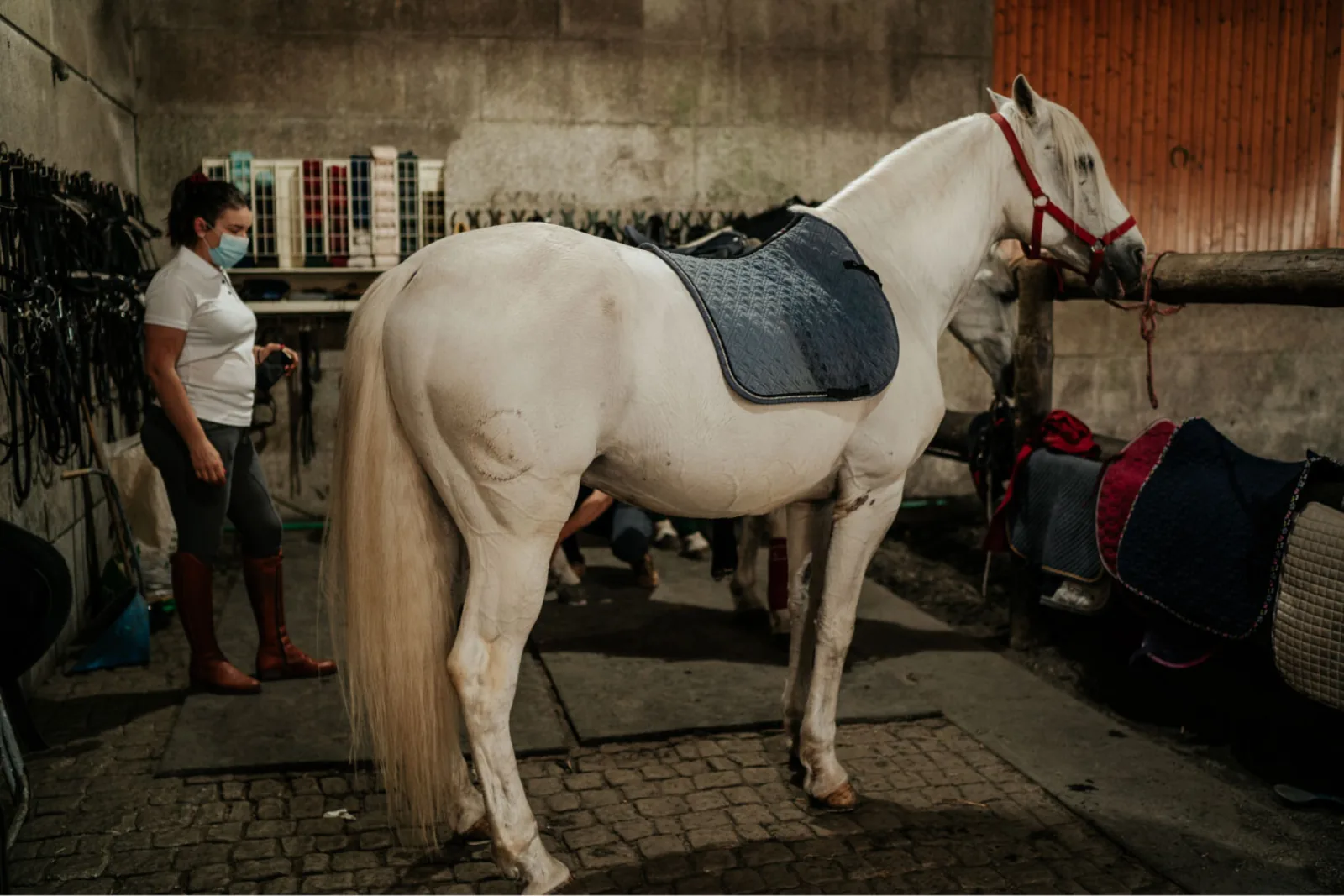 Viana do Castelo Horseback Riding Tour — Beach, Mountain & Flower Fields – image 18