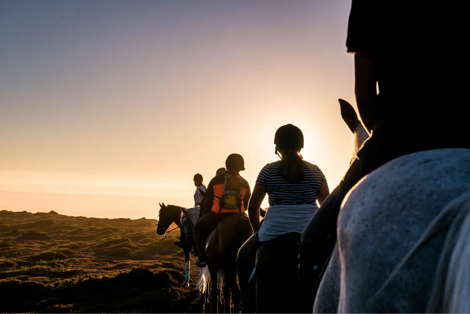 Viana do Castelo Horseback Riding Tour — Beach, Mountain & Flower Fields – image 19