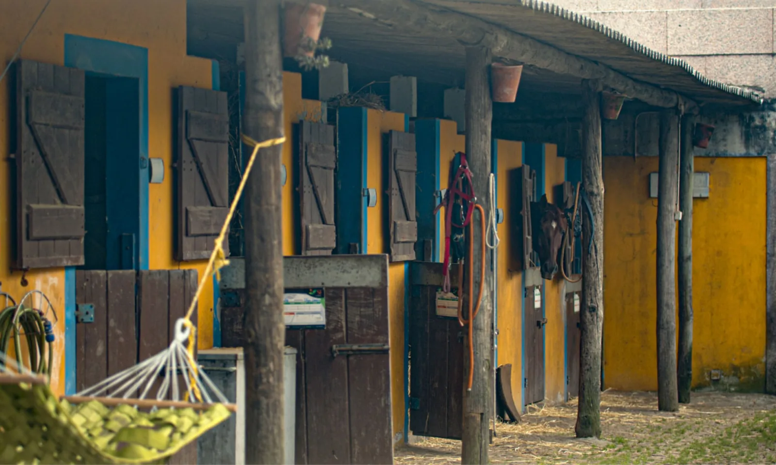 Viana do Castelo Horseback Riding Tour — Beach, Mountain & Flower Fields – image 32