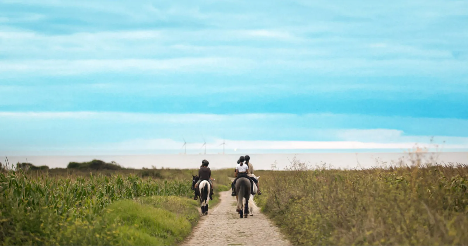 Viana do Castelo Horseback Riding Tour — Beach, Mountain & Flower Fields – image 33
