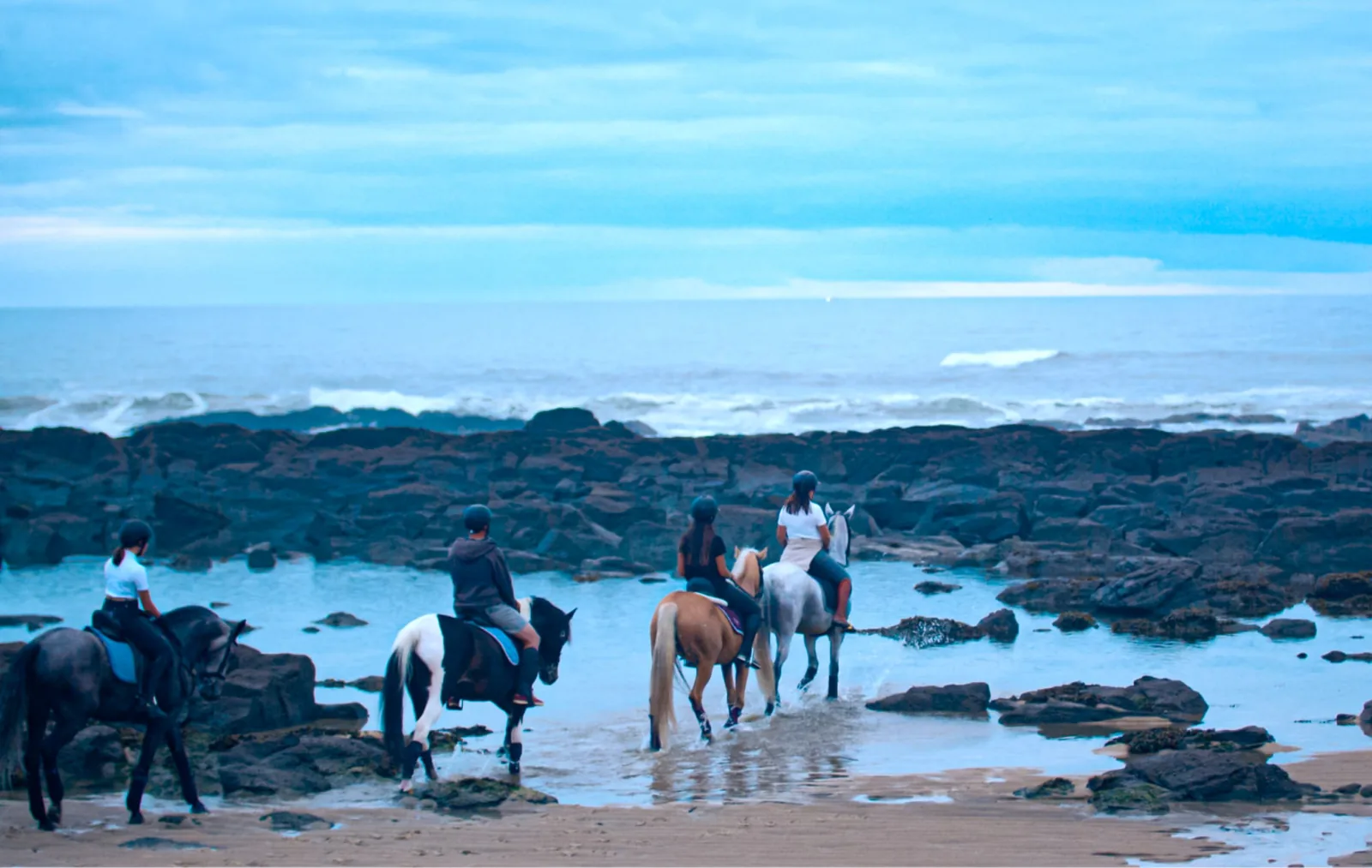 Viana do Castelo Horseback Riding Tour — Beach, Mountain & Flower Fields – image 38