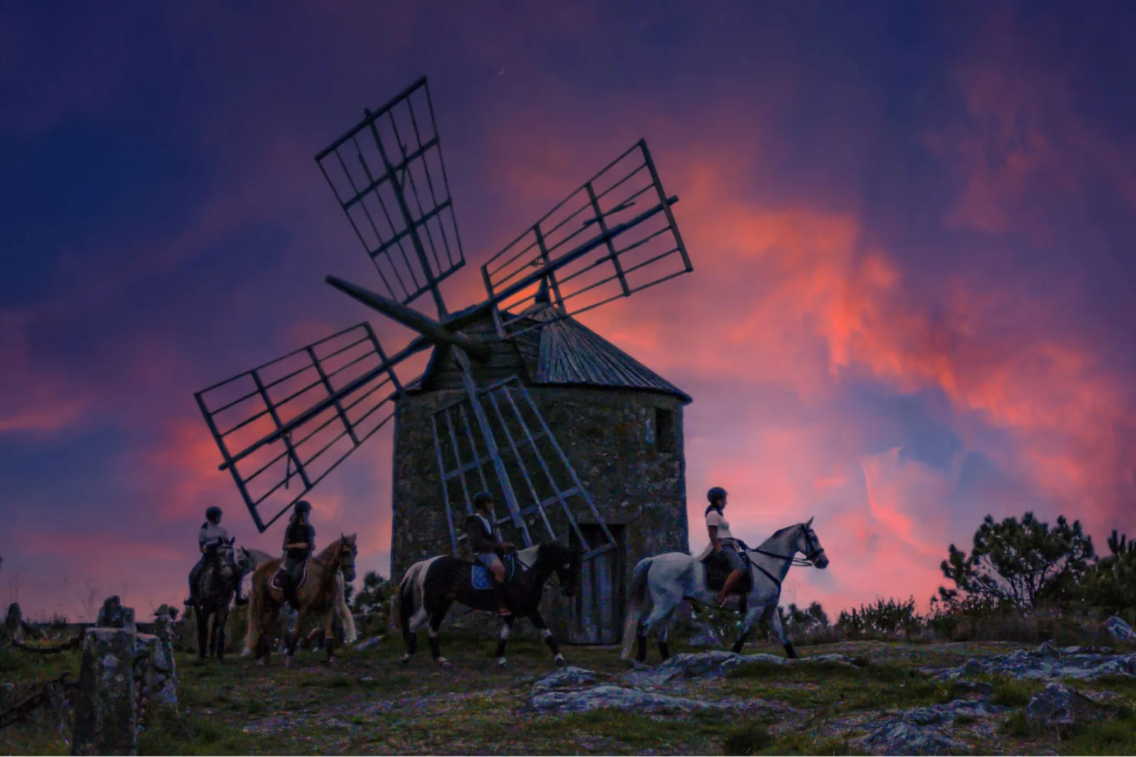 Viana do Castelo Horseback Riding Tour — Beach, Mountain & Flower Fields – image 40
