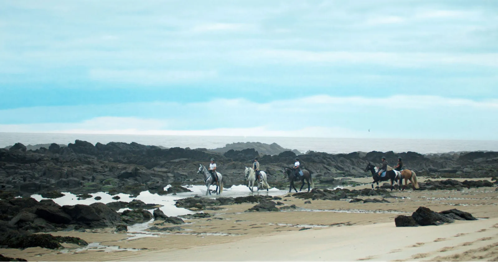Viana do Castelo Horseback Riding Tour — Beach, Mountain & Flower Fields – image 42