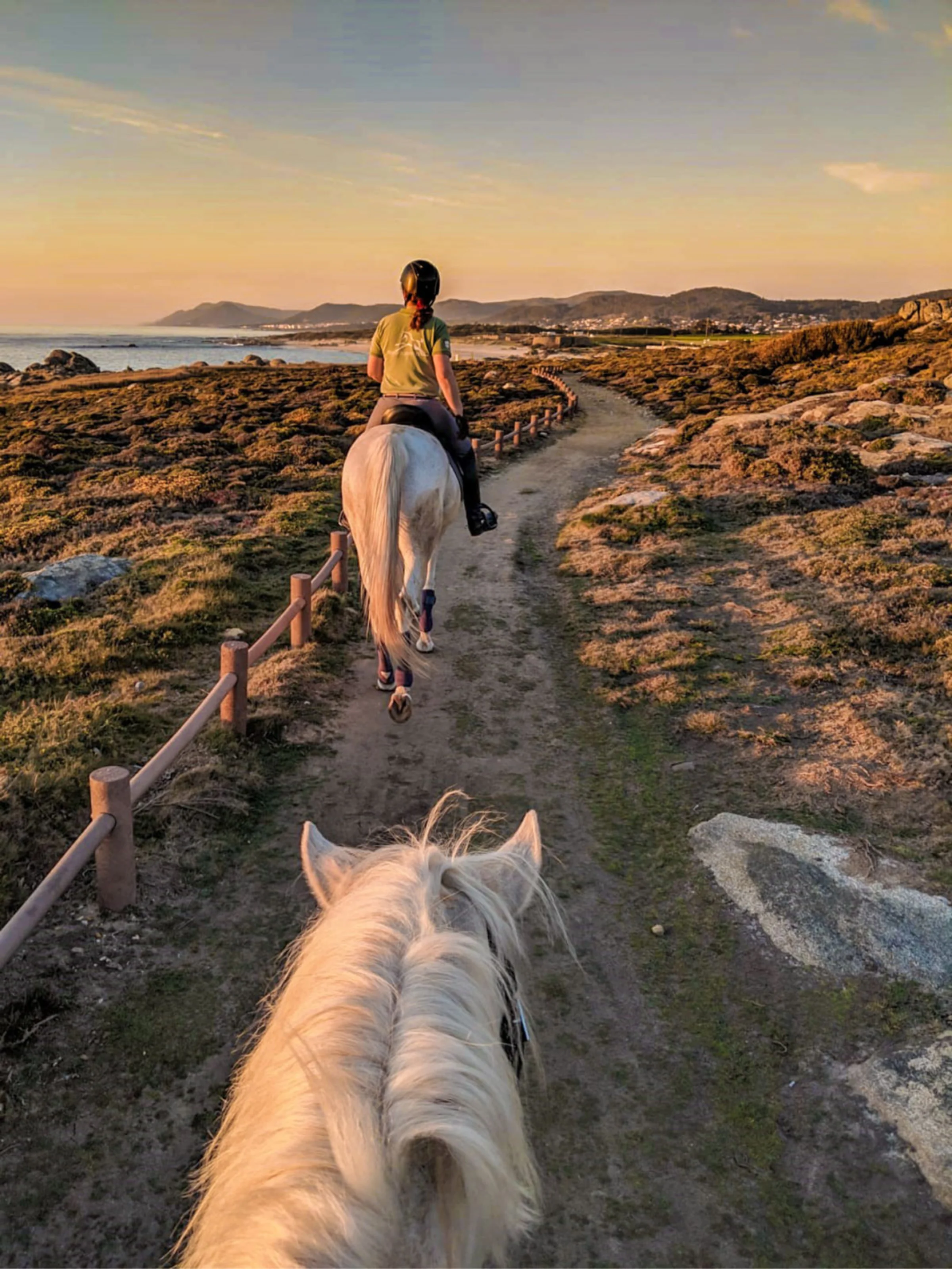 Viana do Castelo Horseback Riding Tour — Beach, Mountain & Flower Fields – image 1