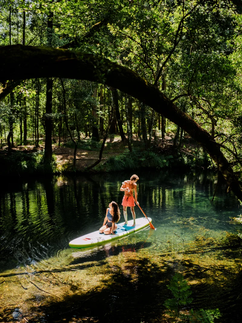 Stand Up Paddle